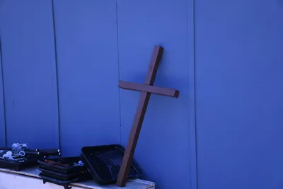 DSC_1123 (Large).JPG